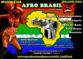 capoeiracamaraAfro_brasil.jpg