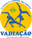 vadiacao_logo(noadress).gif
